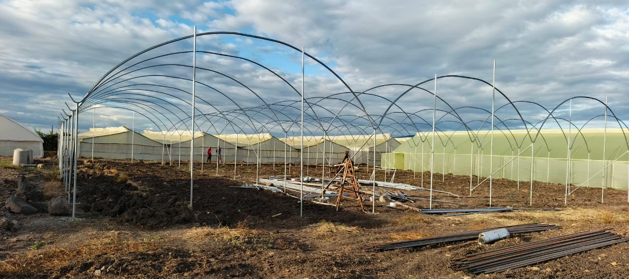 Greenhouse Suppliers & Installation